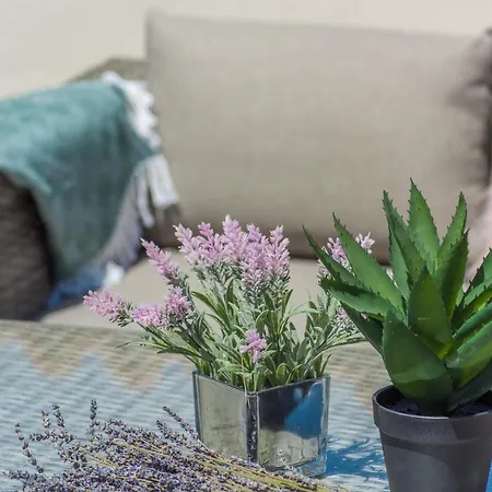 Big Promotion, Serenitas