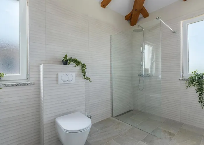Big Promotion, Serenitas Villa Tar-Vabriga