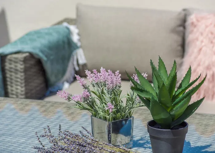 Big Promotion, Serenitas